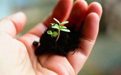 Ohne Stress keine Resilienz!