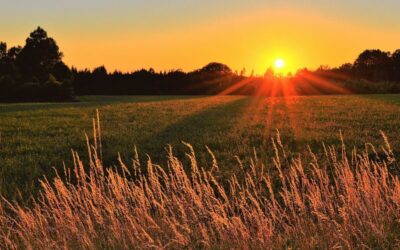 Sommersonnenwende – Wenn das Licht seinen Höhepunkt erreicht